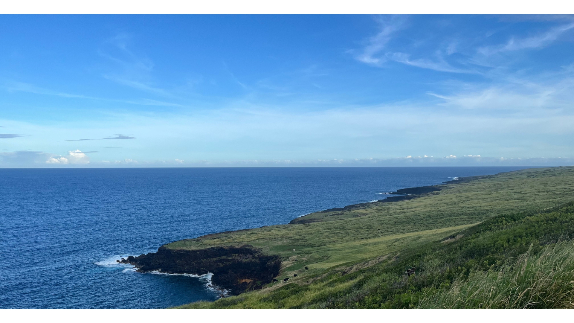 Coastline overlooking the ocean